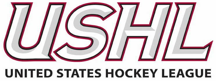 united states hockey league 2011-pres primary logo iron on transfers for T-shirts